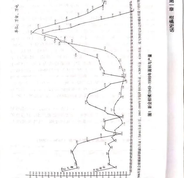 新会陈皮价格差异解析：产区概念与品质筛选的关键因素