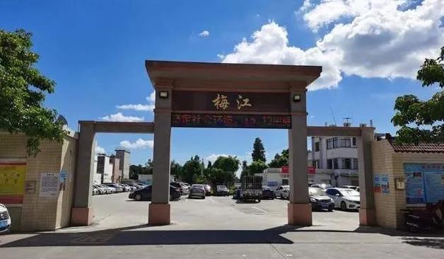 新会陈皮价格差异解析：产区概念与品质筛选的关键因素