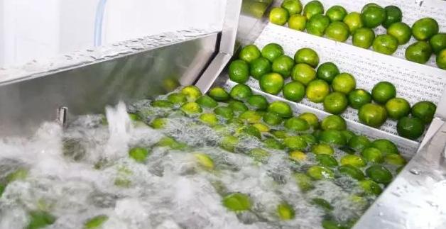 3·15消费者权益日：揭秘柑普茶行业陷阱，丽宫食品如何严格把关产品质量