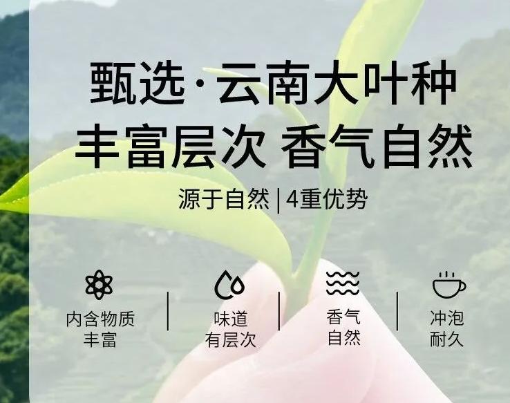 同仁堂陈皮 养生界老字号同仁堂多款宝藏茶饮来袭，各有啥独特魅力？