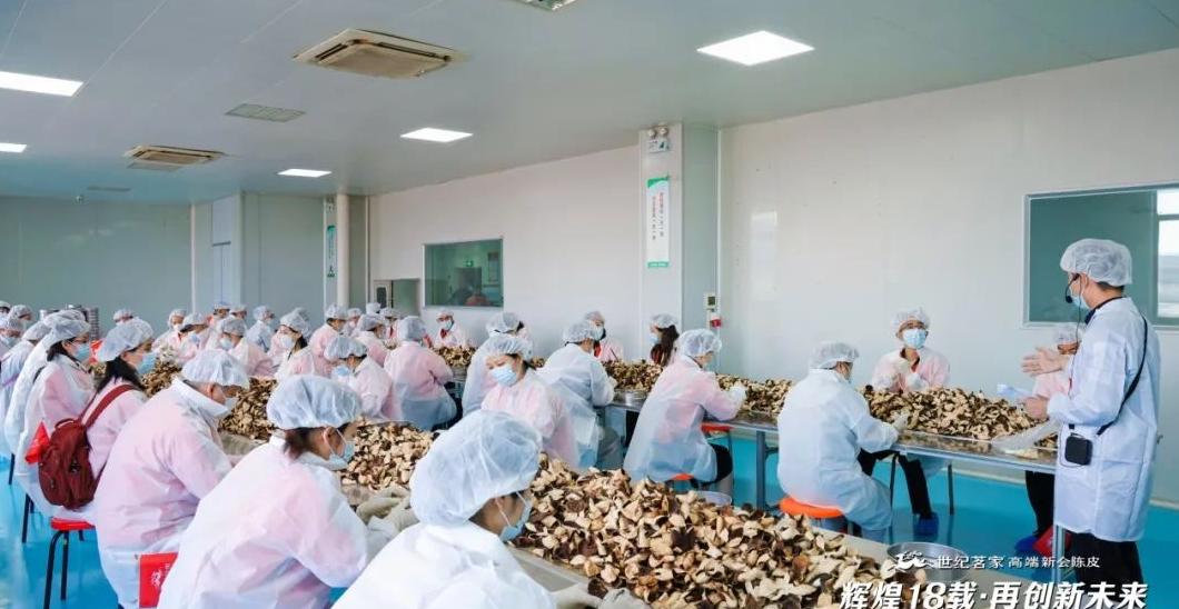 世纪茗家品牌3.0启动暨茗家学堂研学之旅圆满举行，辉煌18载再创新未来