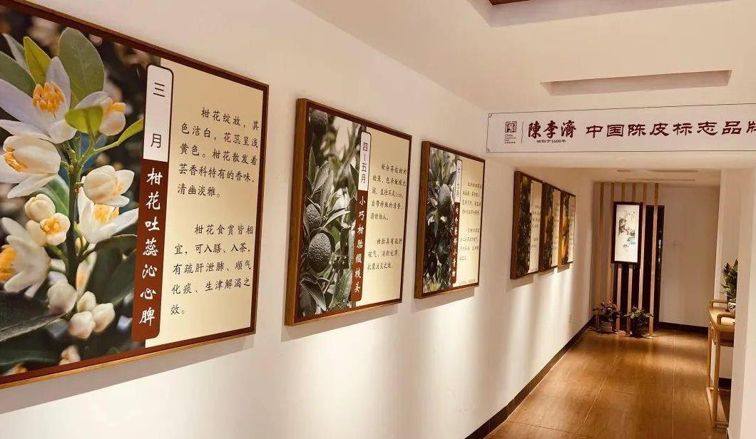 陈李济陈皮养生茶道馆清远旗舰店盛大开业暨两周年庆典双喜临门
